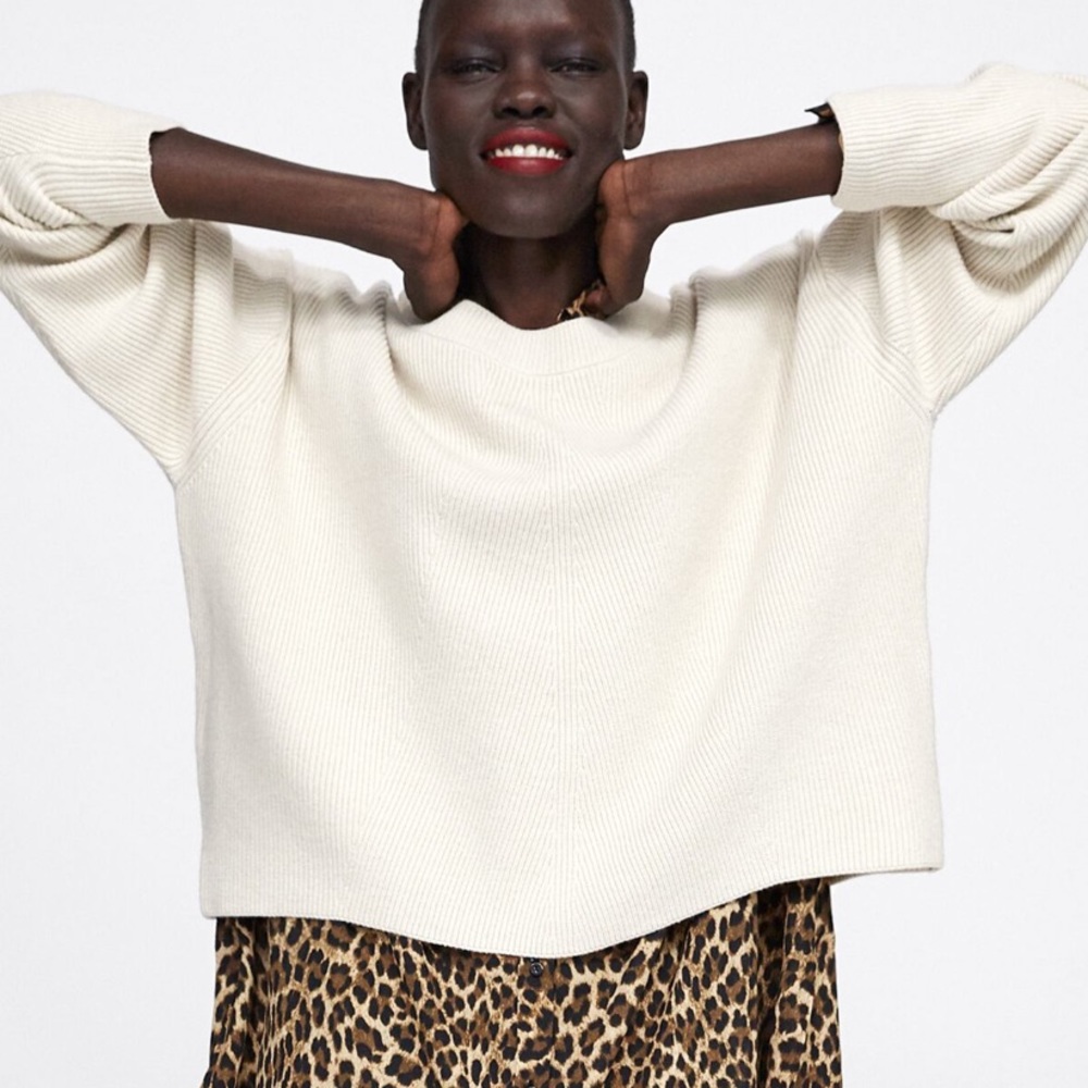 Zara Premium Knit Sweater